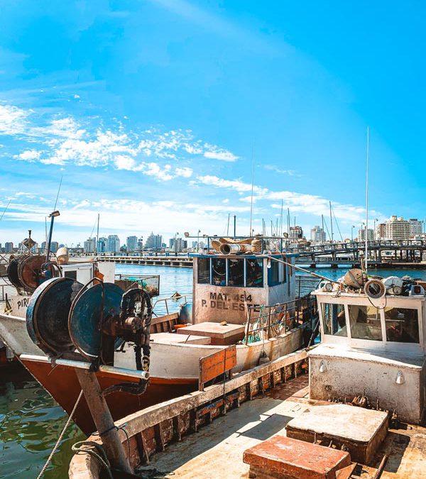 Aktivitäten in Punta del Este – der Hafen